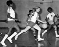 Basketball Girls: class of 1972, Norte Del Rio High School, Sacramento, CA.